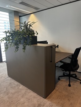 photo-bureau-double-caisson-laterale-haut-decoration-vegetale