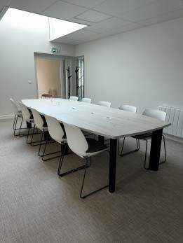 Photo salle de réunion grande table oblonge avec connectique.jpg