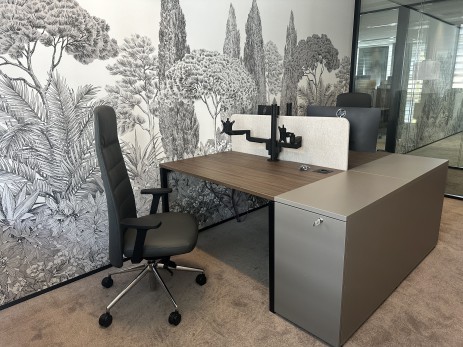 photo-bureau-double-suspension-tapisserie